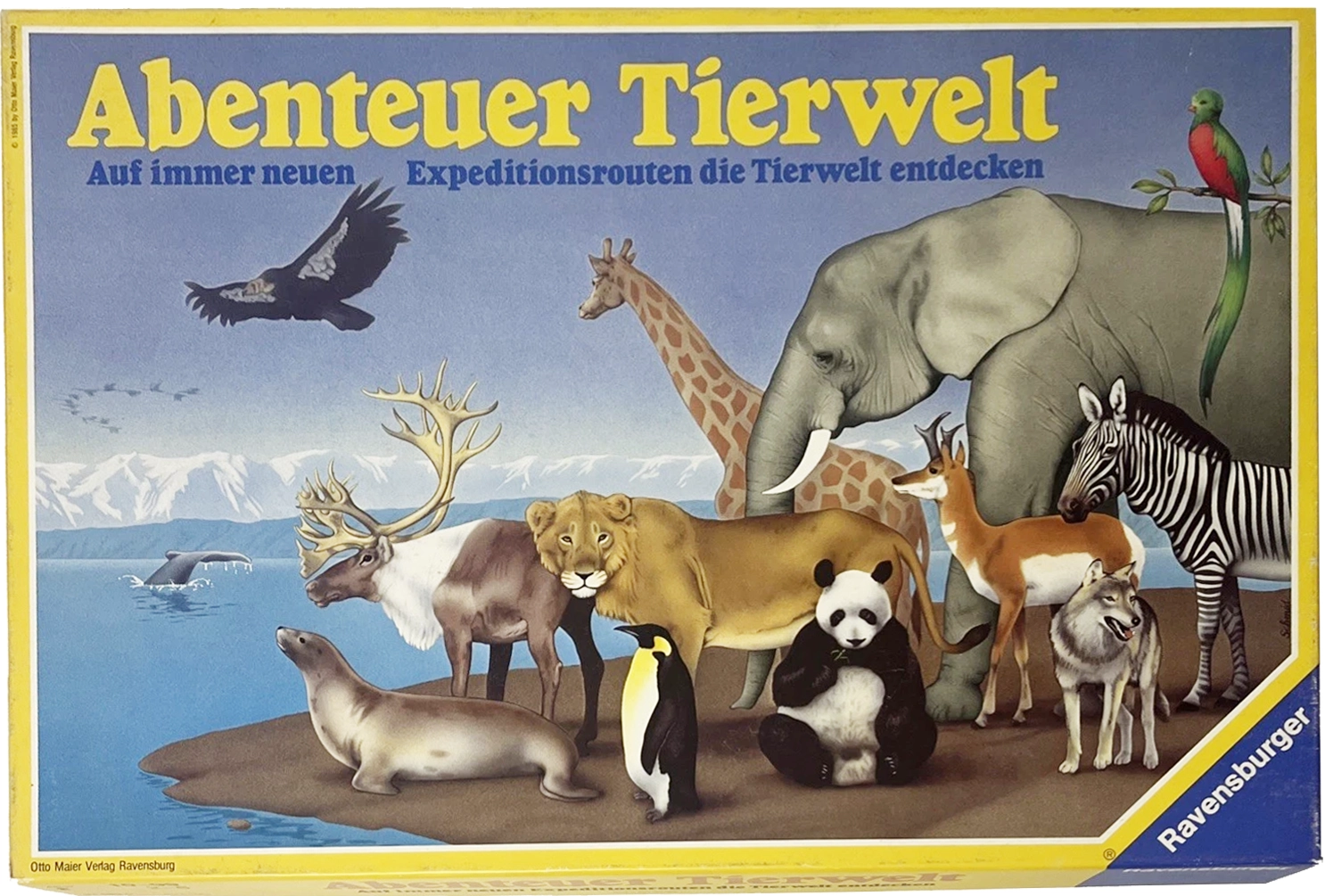 Cover von Abenteuer Tierwelt